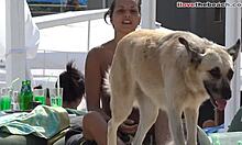 Amatérská dívka s malými kozičkami si hraje s psem na pláži
